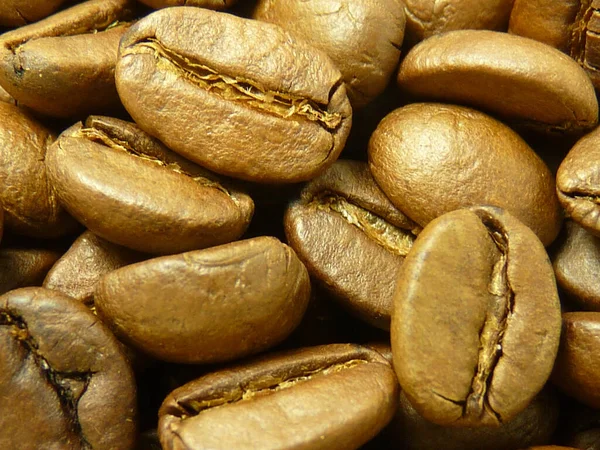Taze Kahve Çekirdekleri Kızarırken Yakın Plan Bir Çekim — Stok fotoğraf