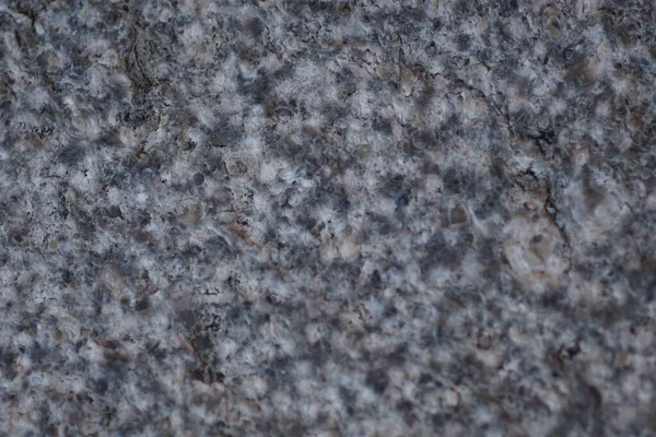 Granit Yüzeyin Seçici Odak Noktası — Stok fotoğraf