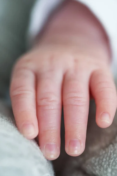 Closeup Shot Newborn Baby Hand — Stock Photo, Image