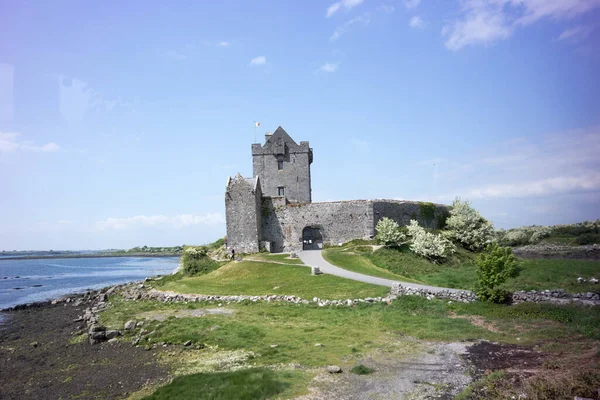 Középkori Dunguaire Kastély Galway Öbölben Írország — Stock Fotó