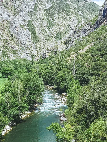 Ένα Όμορφο Τοπίο Ενός Στενού Ποταμού Που Περιβάλλεται Από Πράσινο — Φωτογραφία Αρχείου