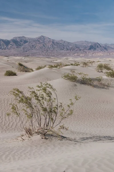 Ένα Όμορφο Πλάνο Του Death Valley National Park Skidoo Usa — Φωτογραφία Αρχείου