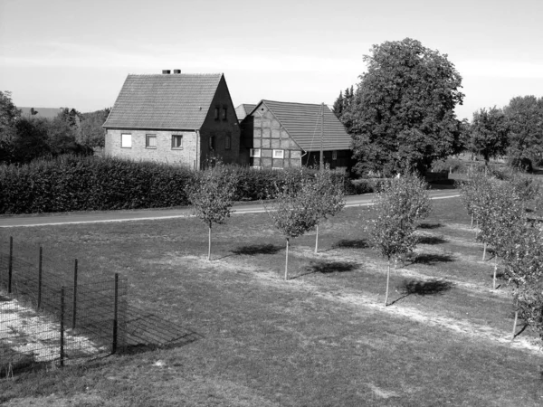 Graustufenaufnahme Eines Bewirtschafteten Feldes Mit Vielen Bäumen Und Hütten — Stockfoto