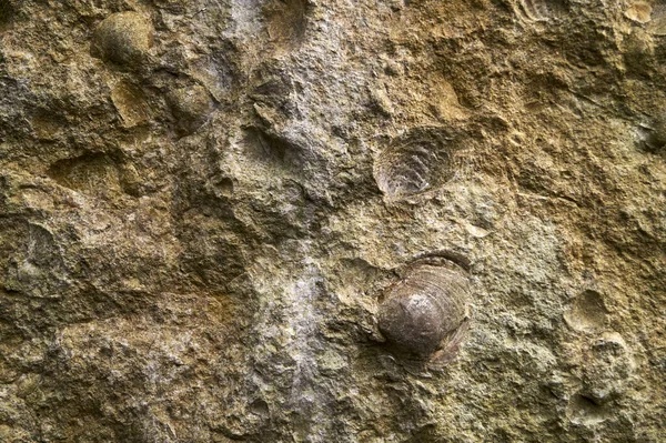 Primer Plano Una Pared Piedra Para Textura Fondo Papel Pintado — Foto de Stock