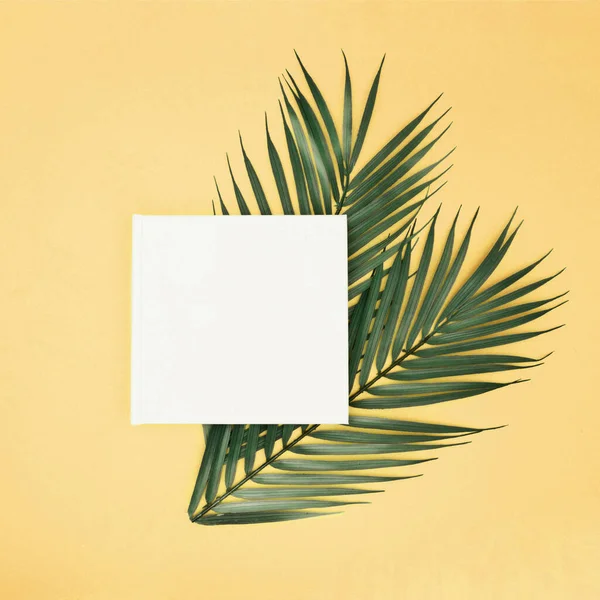 Primer Plano Hojas Palma Verde Cuadrado Blanco Con Espacio Copia — Foto de Stock