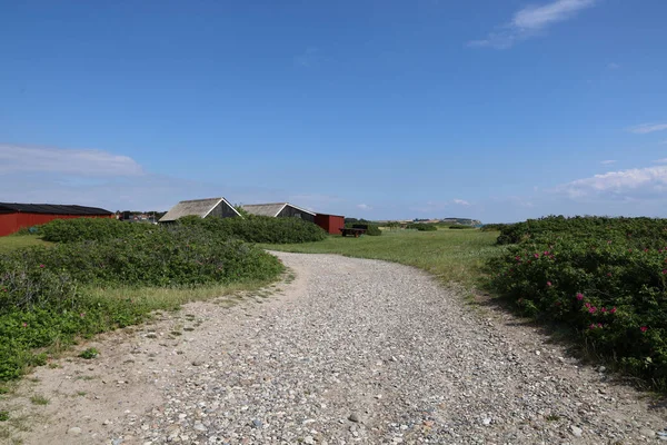 Een Weg Een Veld Bedekt Met Groen Omgeven Door Gebouwen — Stockfoto