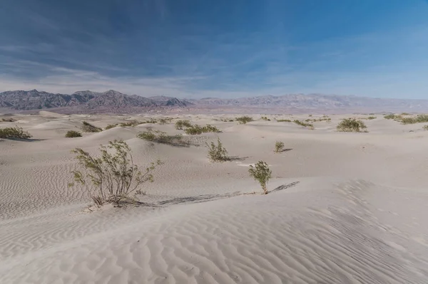 Uma Bela Foto Parque Nacional Death Valley Skidoo Eua — Fotografia de Stock