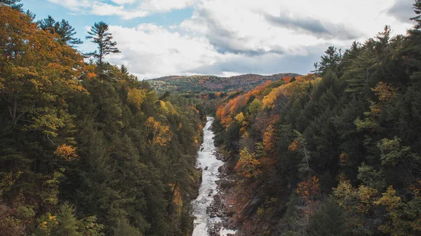 Widok Powietrza Pięknego Lasu Otaczającego Rzekę Jesienny Dzień — Zdjęcie stockowe