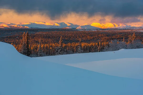 Воздушная Съемка Ландшафта Деревьев Гор Покрытых Снегом Закате Швеции — стоковое фото