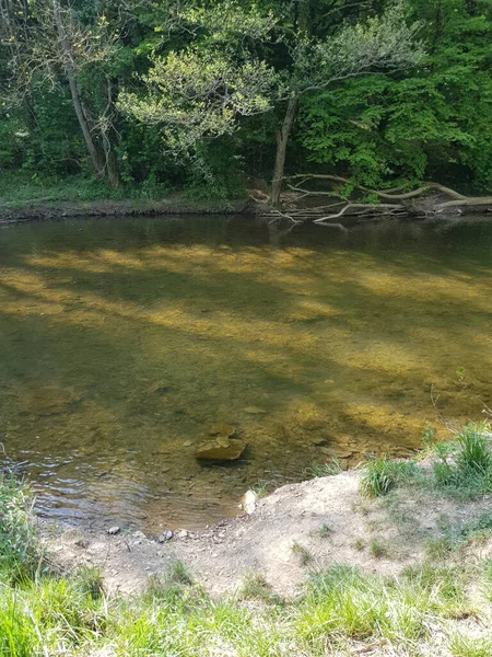 Plan Envoûtant Degrés Verts Reflétés Dans Lac Calme — Photo