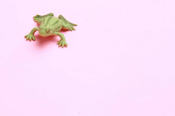 Ένα Μικρό Βάτραχο Παιχνίδια Μια Ροζ Επιφάνεια — Φωτογραφία Αρχείου