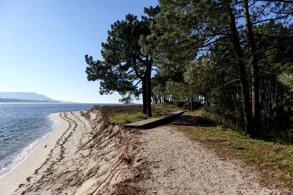 Een Prachtige Foto Van Een Strand Met Bomen Voorgrond — Stockfoto
