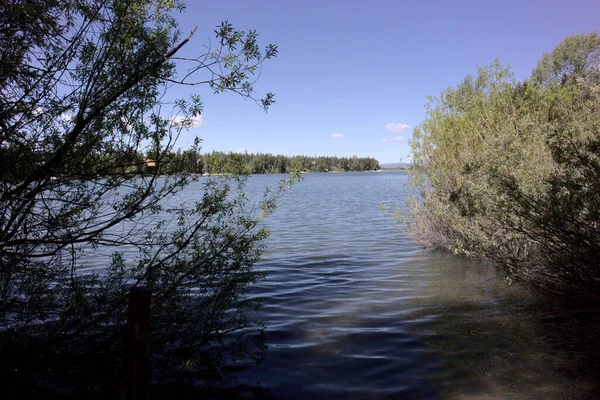 초목으로 둘러싸인 호수의 — 스톡 사진