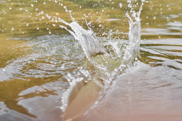 Närbild Skott Runda Droppar Vatten Över Cirklar Sjön — Stockfoto