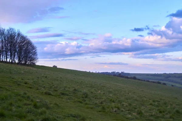 Beau Cliché Une Colline Verte Avec Des Arbres Sous Ciel — Photo