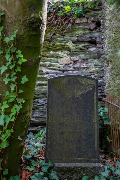 Colpo Livello Dell Occhio Una Lapide Muschiata Cimitero — Foto Stock