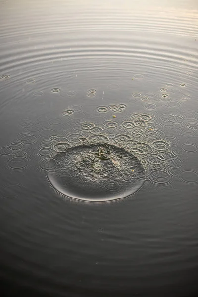 Das Wasser Tropft Auf Das Klare Und Reine Wasser Gut — Stockfoto