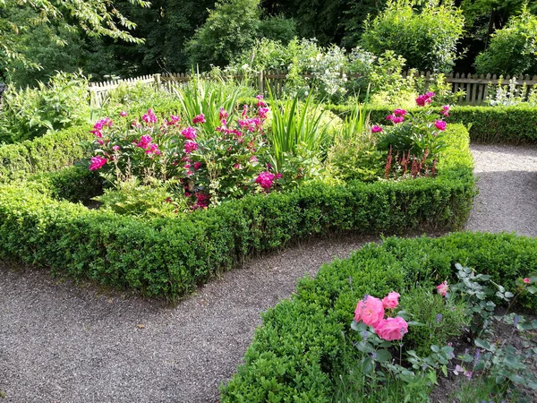 Uno Splendido Scenario Giardino Con Alberi Verdi Fiori Giorno — Foto Stock