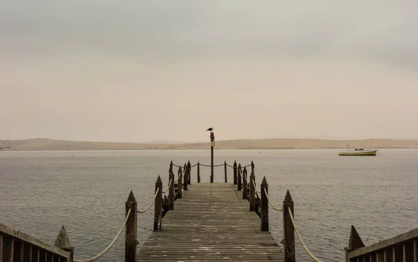 Velho Cais Madeira Pássaro Marinho Barco Distância Dia Nebuloso Praia — Fotografia de Stock