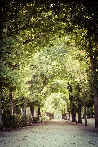 Plano Vertical Hermoso Parque Con Árboles Formando Arco Schonbrunn Viena — Foto de Stock