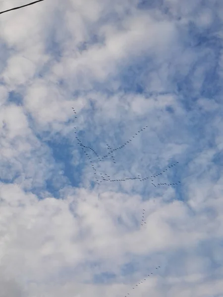 Tiro Vertical Céu Nublado Durante Dia — Fotografia de Stock