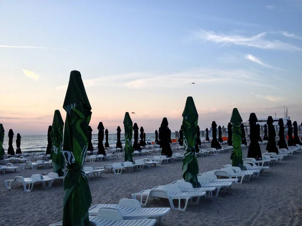 Mamaia Romania Aug 2017 Esernyők Strandon Reggel Tengerpart — Stock Fotó