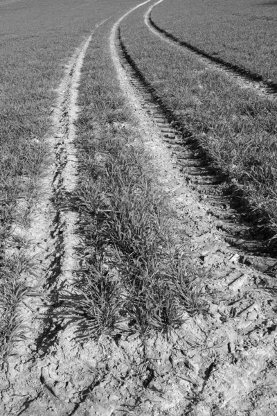 Graustufenaufnahme Der Reifenspuren Des Traktors Auf Dem Mit Gras Bedeckten — Stockfoto