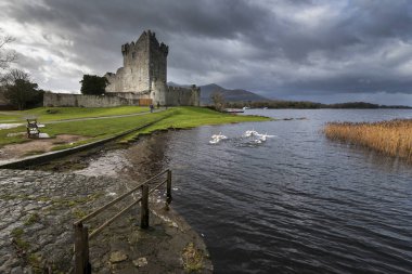 A scenic shot of the Ross Castle on the shore of Muckross Lake in Killarney National Park in Kerry, Ireland clipart