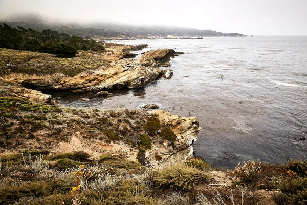 Eine Schöne Aufnahme Von Einem Ufer Des Point Lobos State — Stockfoto