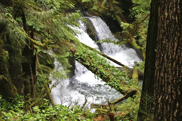 Uma Bela Vista Cachoeira Cercada Por Árvores Verdes — Fotografia de Stock