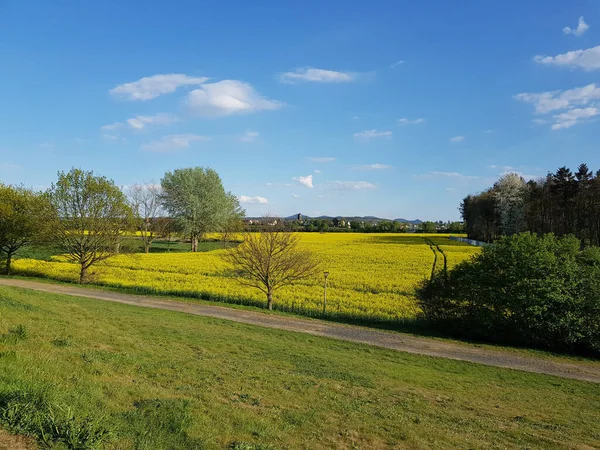 Krásný Malebný Pohled Travnaté Zelené Sjezdovky — Stock fotografie