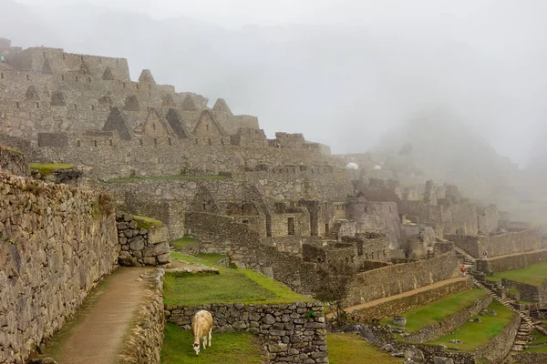 Una Vista Impresionante Las Ruinas Machu Picchu Perú — Foto de Stock