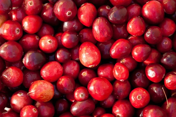 Sebuah Pandangan Atas Closeup Lezat Dan Segar Merah Cranberry — Stok Foto