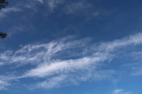 Ein Niedriger Blickwinkel Auf Einen Blauen Bewölkten Himmel Tag Perfekt — Stockfoto