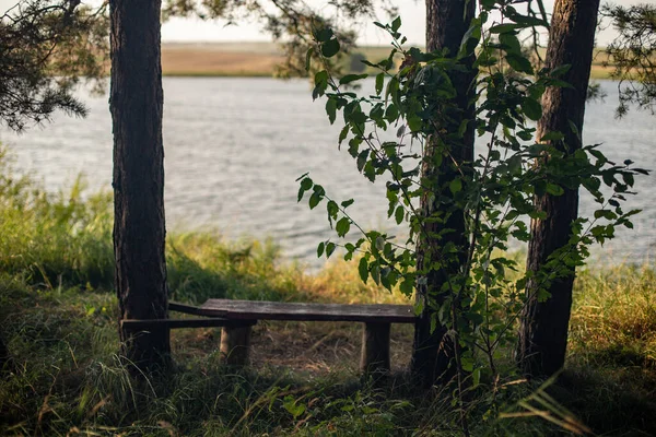 Sebuah Bangku Kayu Dikelilingi Oleh Pohon Pohon Sisi Danau — Stok Foto