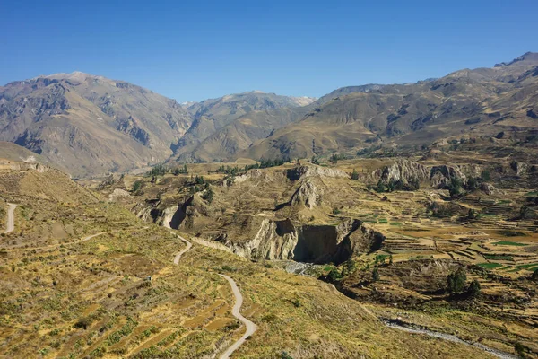 Peru Güneşli Bir Günde Yakalanan Colca Canyon Ajpi Manzarası — Stok fotoğraf