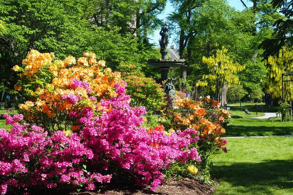 Belo Parque Cheio Flores Coloridas — Fotografia de Stock