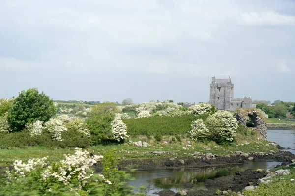 Középkori Dunguaire Kastély Galway Öbölben Írország — Stock Fotó