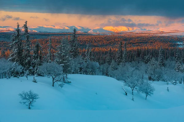 スウェーデンの日没時に雪に覆われた木々や山々の風景の空中ショット — ストック写真