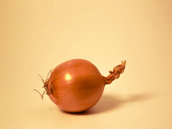 Eine Gelbe Zwiebel Auf Dem Braunen Hintergrund — Stockfoto