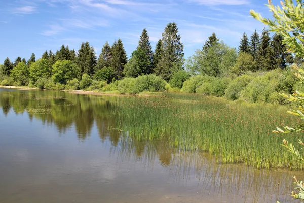 Spokojne Jezioro Otoczone Zielenią Pod Słonecznym Niebem Lac Entonnoir Pobliżu — Zdjęcie stockowe