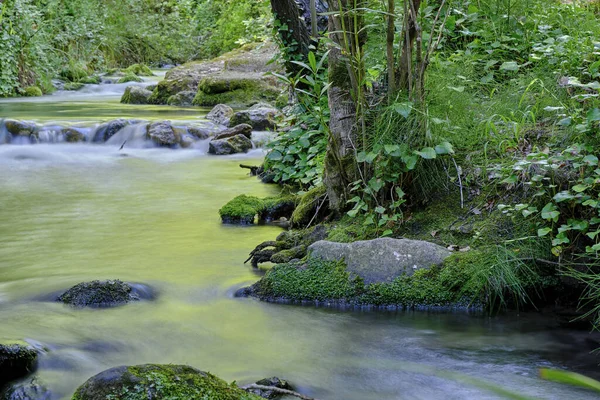 Een Rivier Met Stenen Natuur — Stockfoto