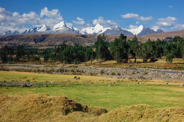 Dağları Peru Daki Huascaran Ulusal Parkı Nın Büyüleyici Bir Görüntüsü — Stok fotoğraf