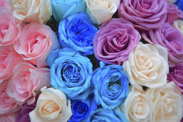 Zbliżenie Ujęcie Kolorowych Róż — Zdjęcie stockowe