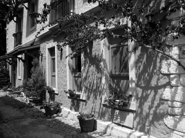 Plan Niveaux Gris Une Ancienne Ruelle Avec Des Décorations Florales — Photo