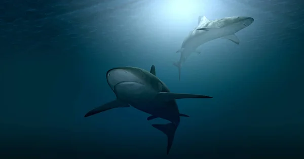 Una Representación Tiburones Blancos Agua — Foto de Stock