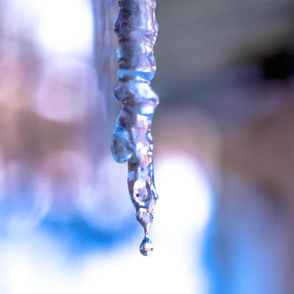 Eine Selektive Fokusaufnahme Eines Schönen Eiszapfens Mit Einem Natürlichen Unscharfen — Stockfoto