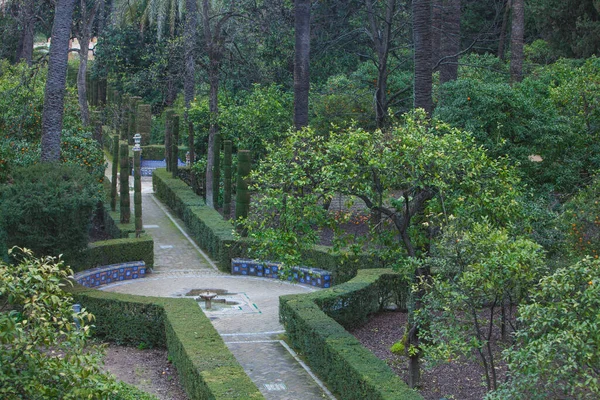 Kesilmiş Çalılarla Kaplı Ağaçlarla Patikalarla Dolu Bir Park — Stok fotoğraf