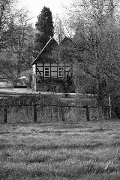 Een Grijswaarden Opname Van Een Prachtig Huis Omringd Door Bomen — Stockfoto