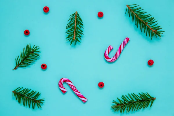 Flat Lay Shot Fir Branches Candy Canes Christmas Berries Blue — Stock Photo, Image